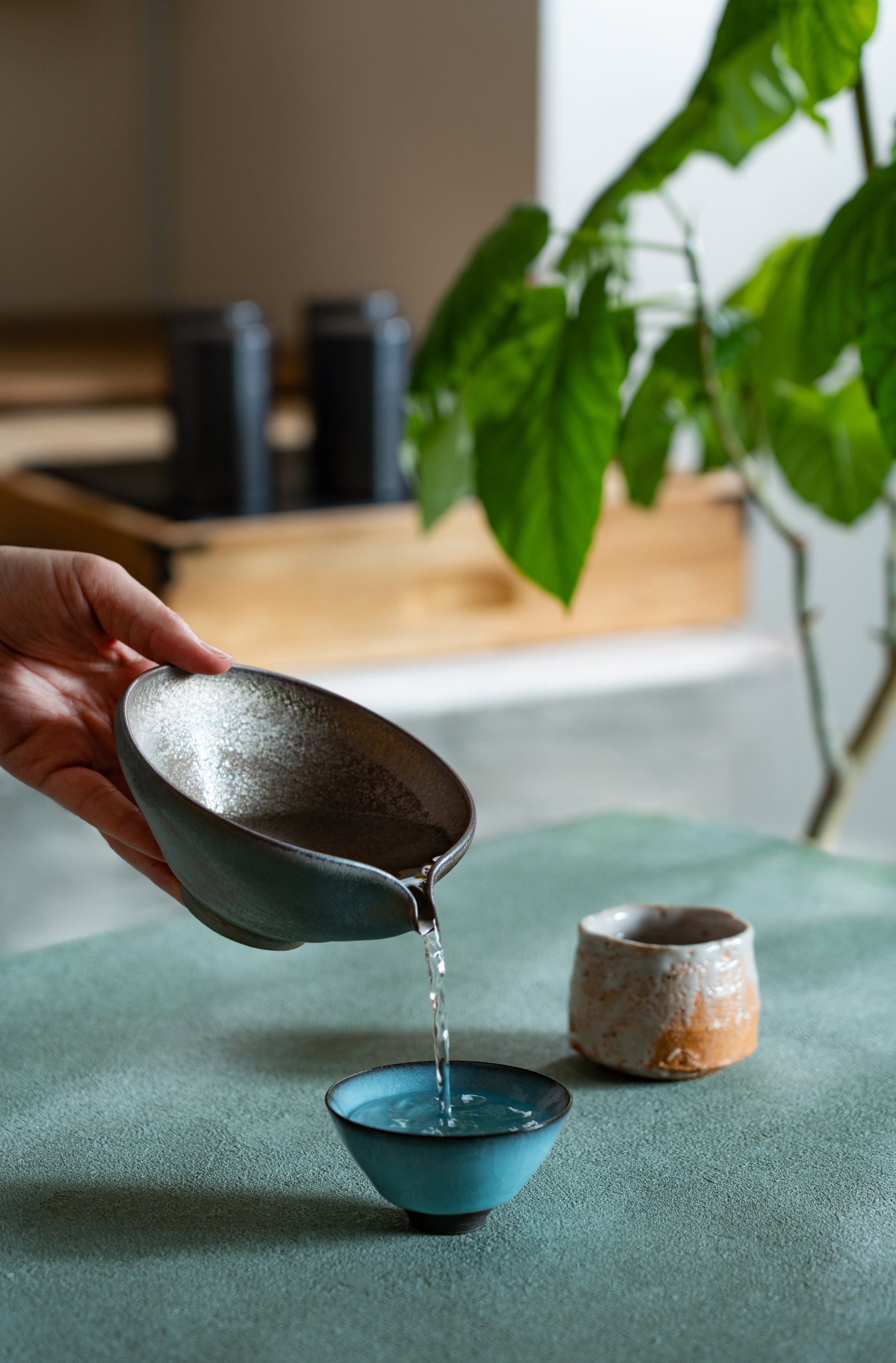 Japanese SAKE Experiences