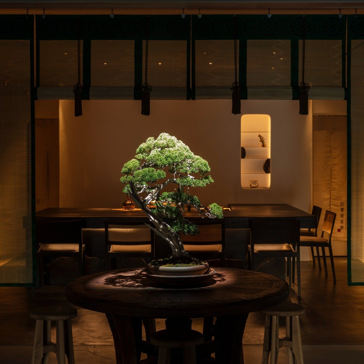 A sculptural bonsai stands framed by green-edged blinds, the counter and a lit niche behind it in the japanese cafe.