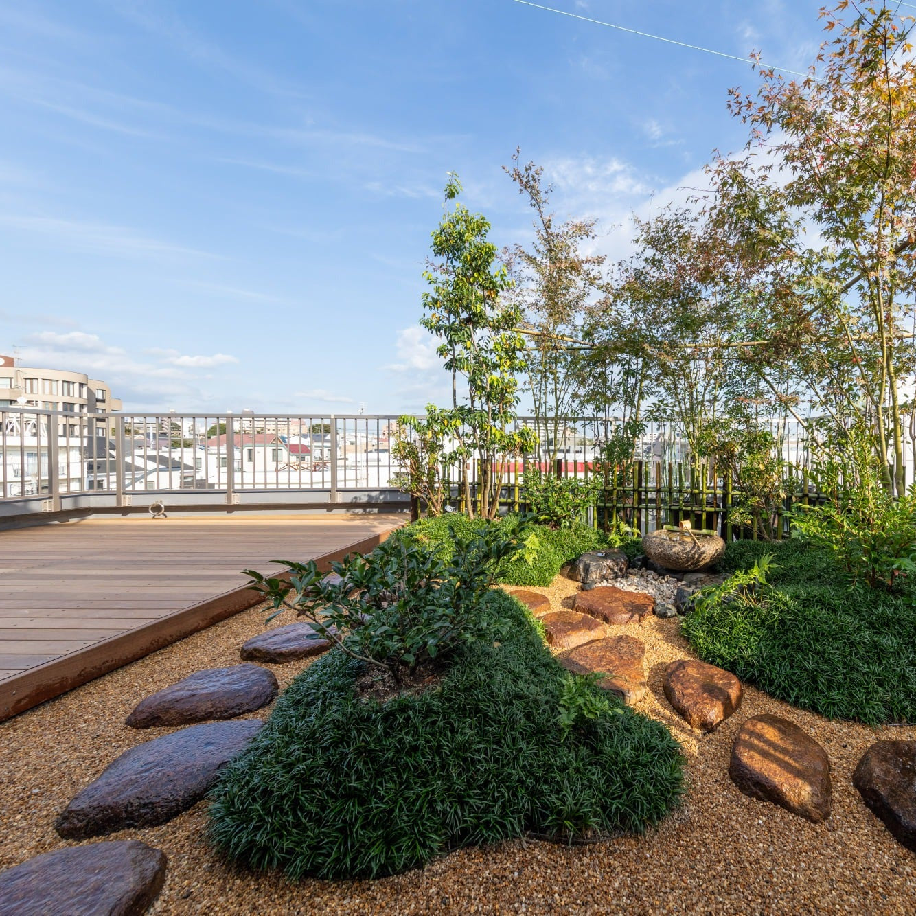 Rooftop Japanese garden with a maple, mondo grass, stepping stones and a bamboo fence, set against the city skyline under a blue sky.