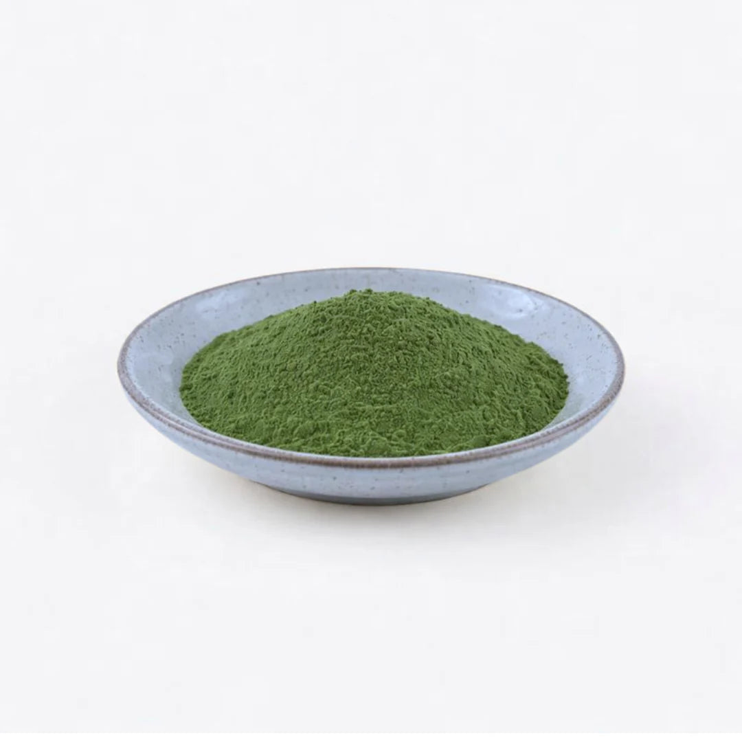 Vibrant green ceremonial Japanese matcha powder neatly presented in a minimalist stone-blue ceramic bowl.