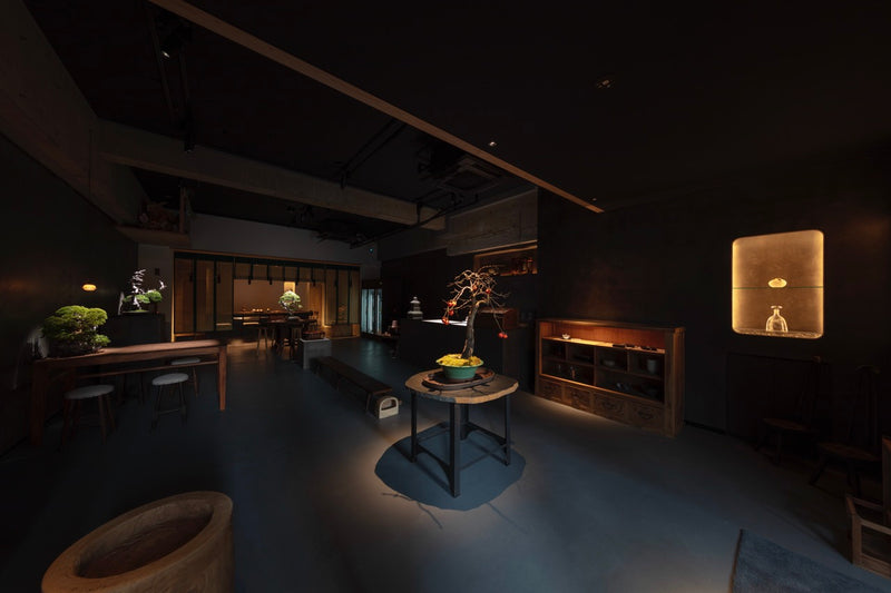 Atmospheric interior of a modern Tokyo gallery for tea and craft, embodying the spirit of "In-ei Raisan" (In Praise of Shadows). Within the deep shadows, restrained spotlighting illuminates a central fruiting bonsai and a warm wall display of artisanal glassware. Beyond, warm light spills from a traditional Japanese tatami-mat tearoom. A quiet, thoughtful synthesis of Japanese heritage and urban contemporaneity.
