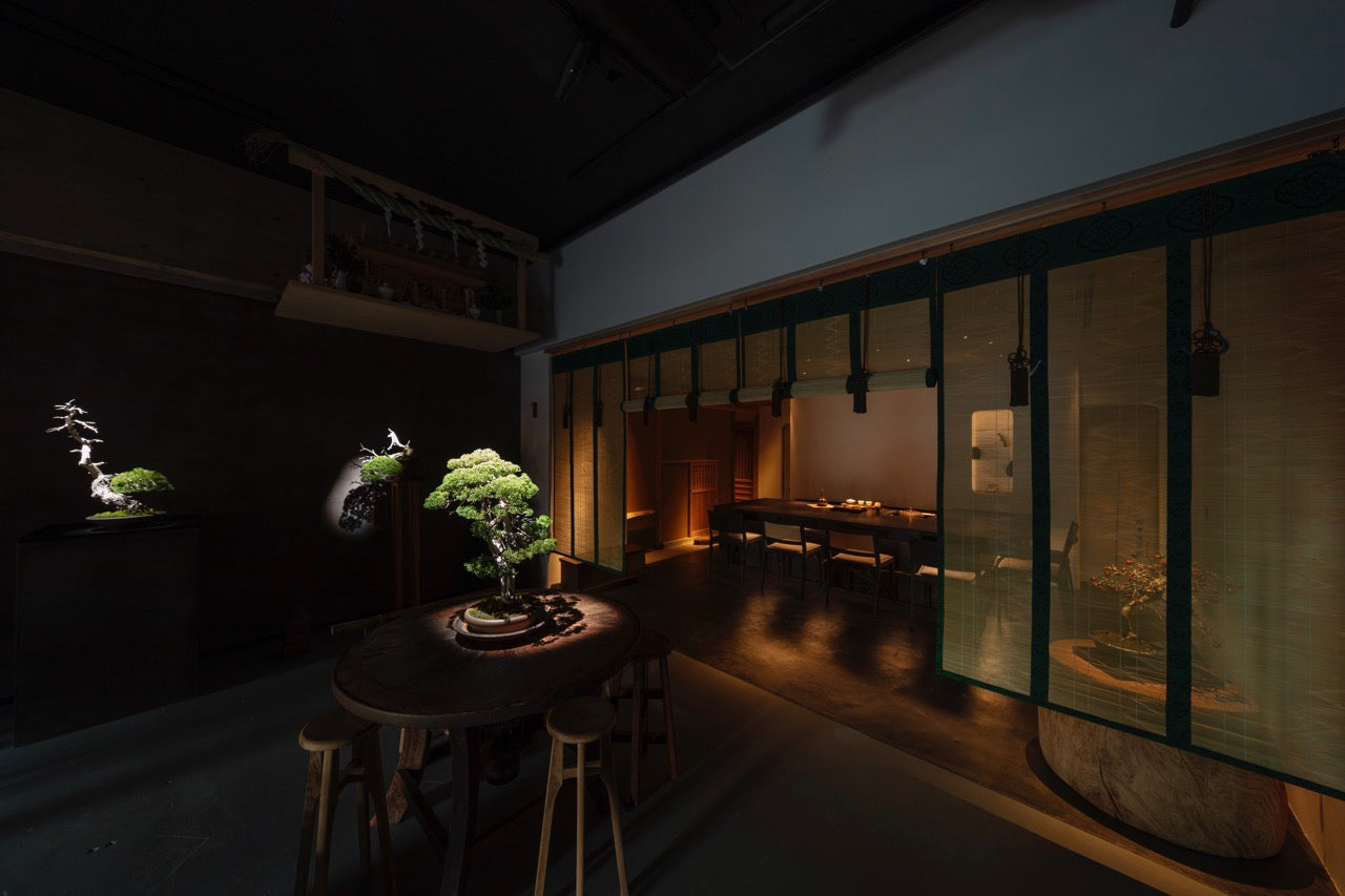 Dramatic spotlighting illuminates intricate bonsai trees against deep shadows, framed by a traditional green-trimmed hanging screen (misu) overlooking a warm, quiet tea space.