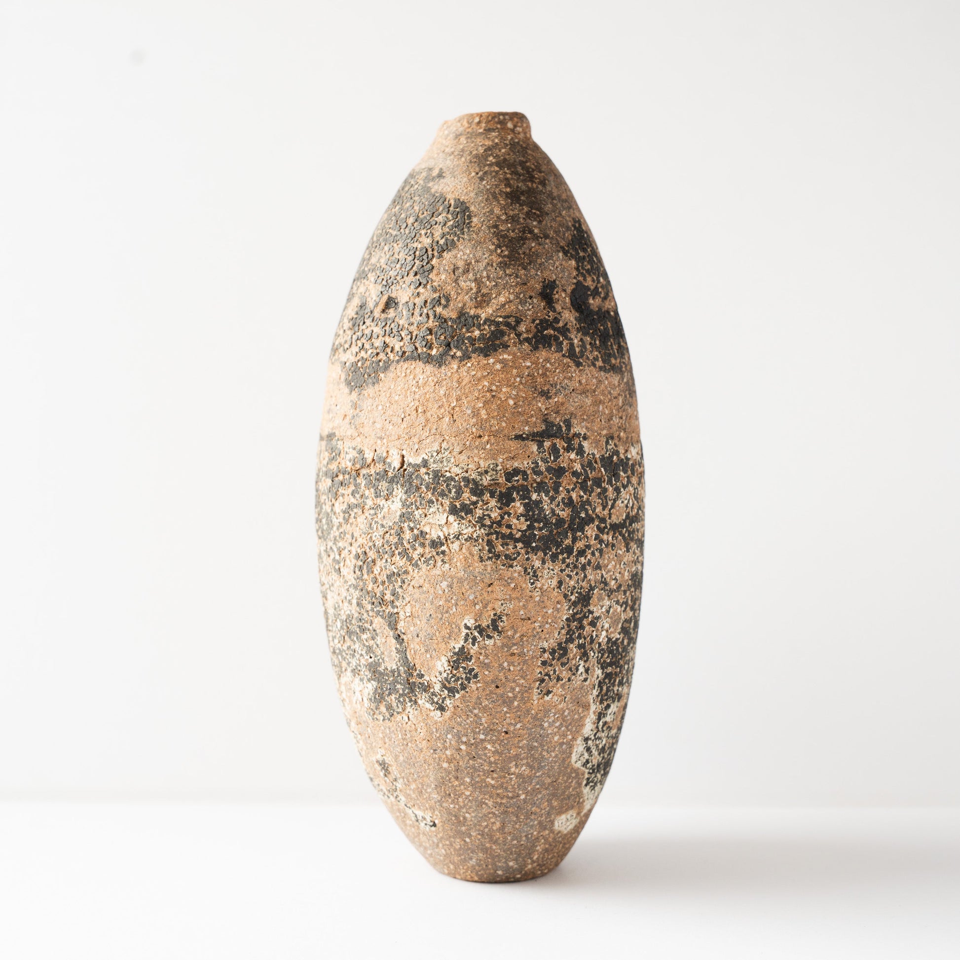 Opposite profile view of the seed-shaped Genkoku HANAIRE ceramic vase by Wataru Myosyu against a clean studio backdrop.